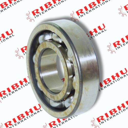 6309 FAG Ball Bearing | Chrome Steel | 45 mm